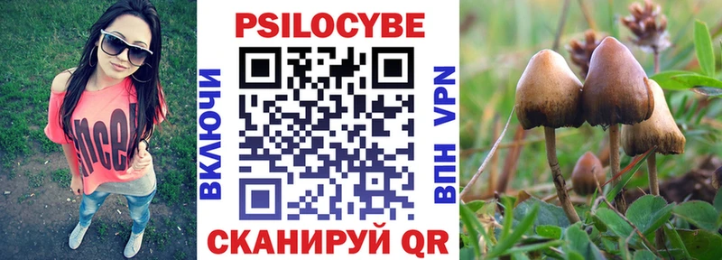 Псилоцибиновые грибы Psilocybe  где можно купить   Мценск 